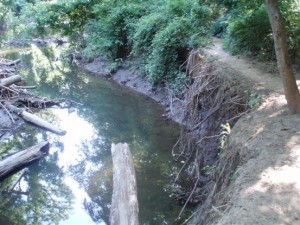 Rock Creek Erosion