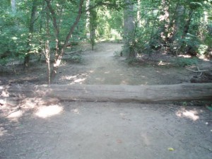 Rock Creek Log