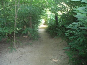 Narrow Trail