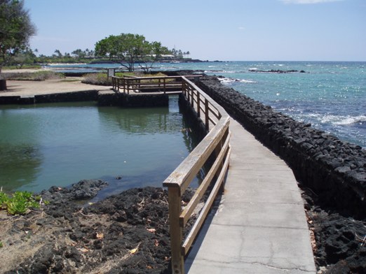 Foot Bridge