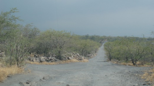 Downhill Running