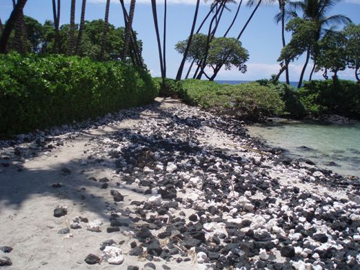 Sandy Beach Trail