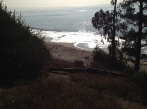 Cliff View