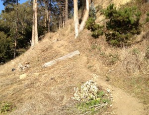 Uphill Trail