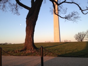 St. Patrick's Day 8k