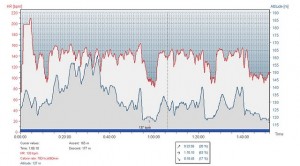 Heart Rate Monitor Training