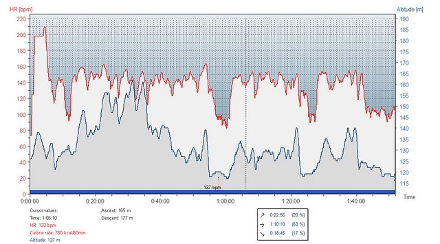 Guide to Heart Rate During Exercise with Chart — Runstreet