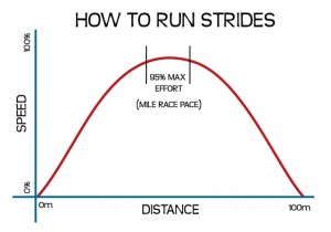 What are strides?