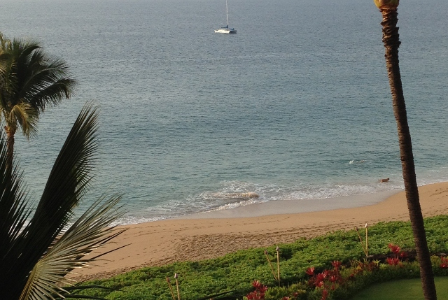 Beach West Maui