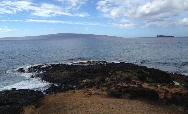 Beach View