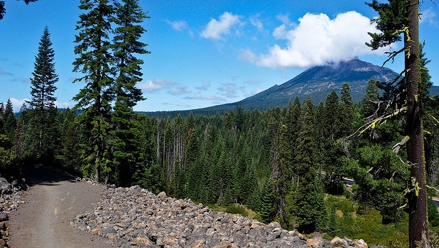 Trail Running