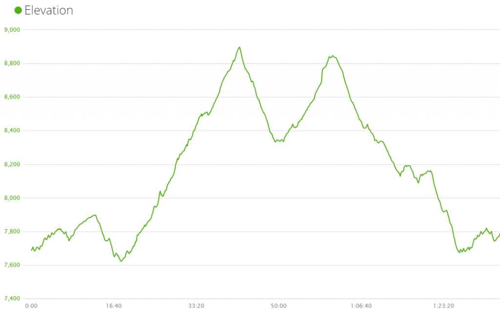 Elevation Profile