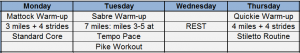 Training Plan Example