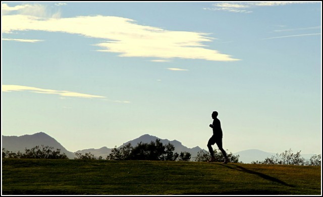 Annual Running Plan