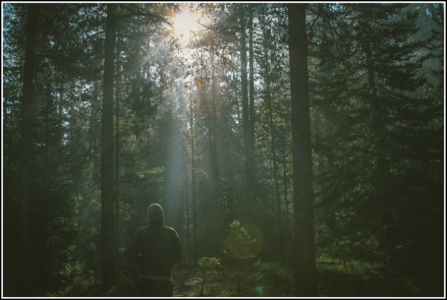 running healthy forest